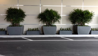 Square Pedestal Planters & Roma Rectangular Planters